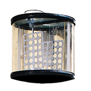 Rollermill Inlet Glass